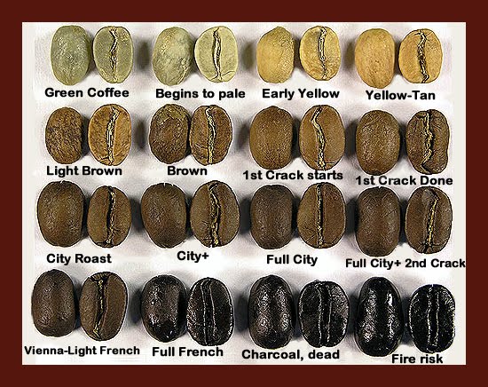 Degree of Roast – Good Sense Coffee