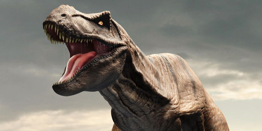 COVID-19 (Coronavirus) shares similarities to a Tyrannosaurus Rex researchers say