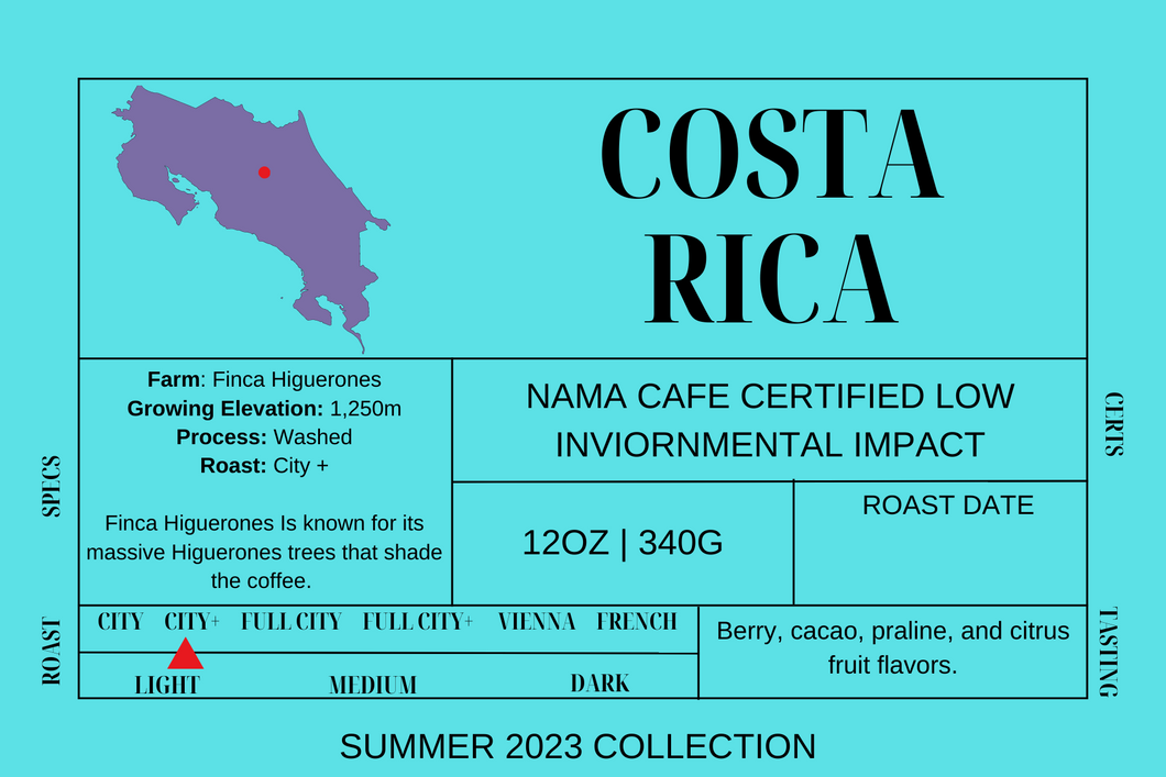 Costa Rica - Finca Higuerones - SUMMER 23 Coffee