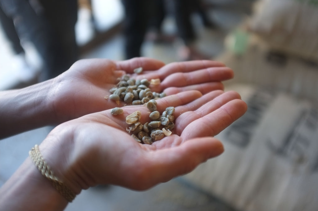 - Mexican Chiapas - Organic & Fair Trade - Woman Producing Farm